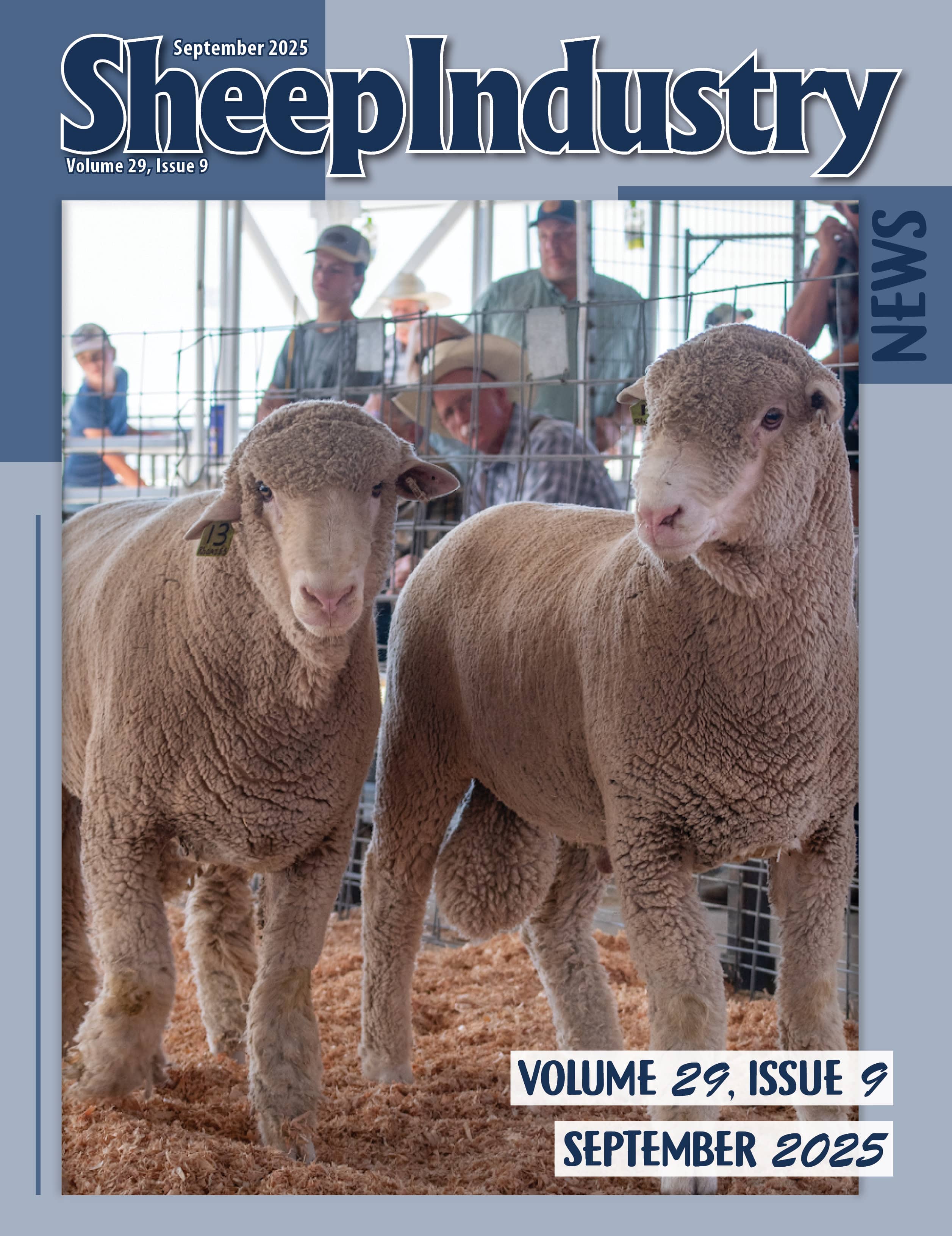 Thumbnail of a document titled "Sheep Industry News, Volume 29, Issue 9, September 2025."
