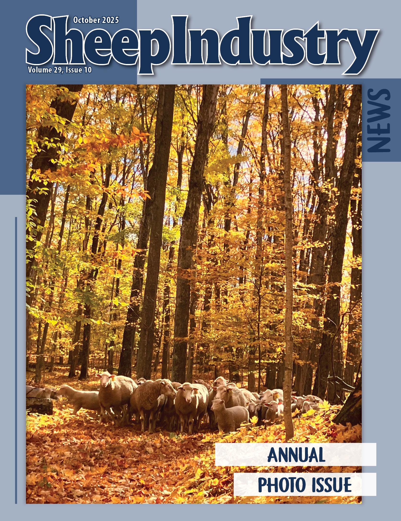 Thumbnail of a document titled "Sheep Industry News, Volume 29, Issue 10, October 2025."