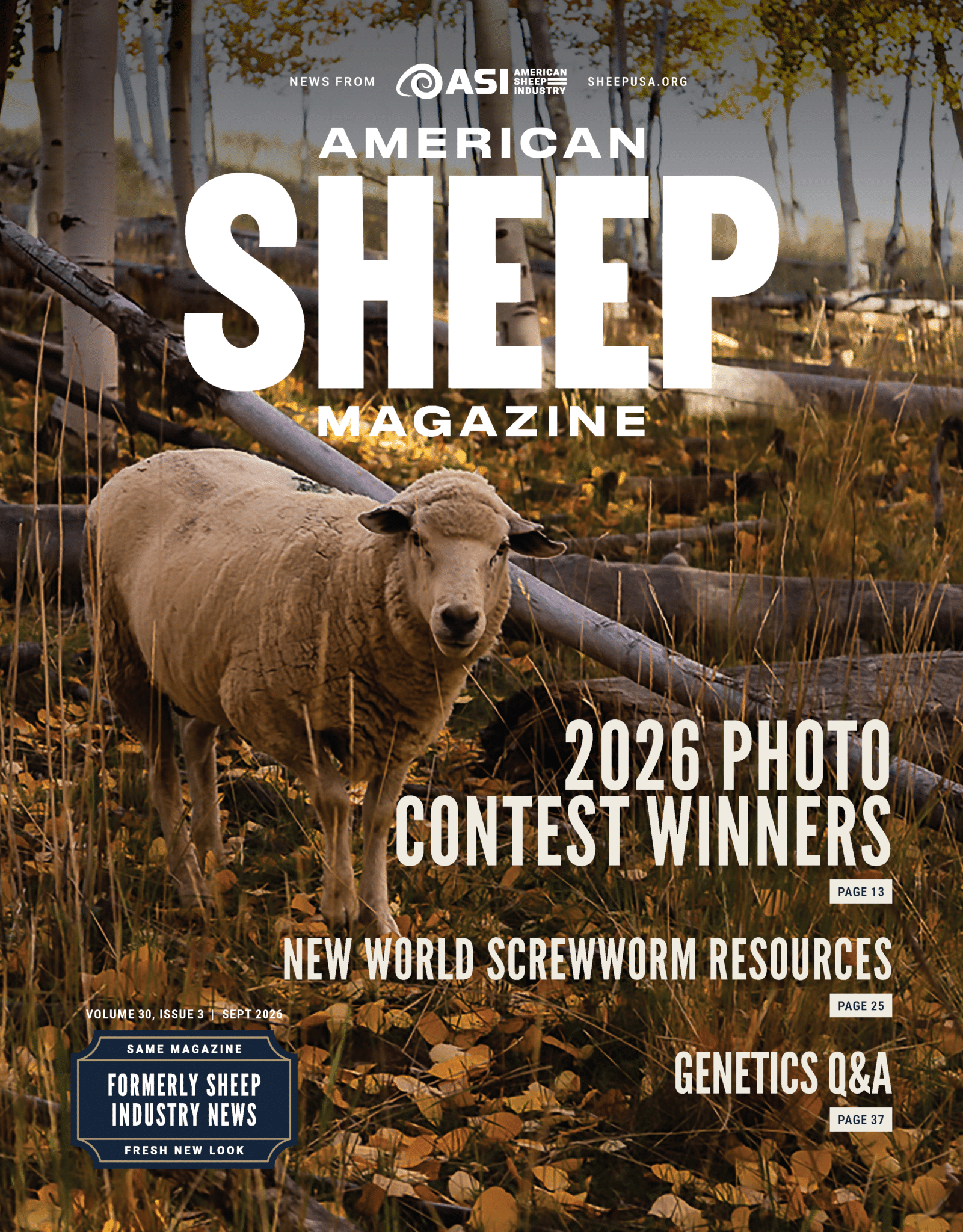 Cover Photo of a sheep in a fall forest